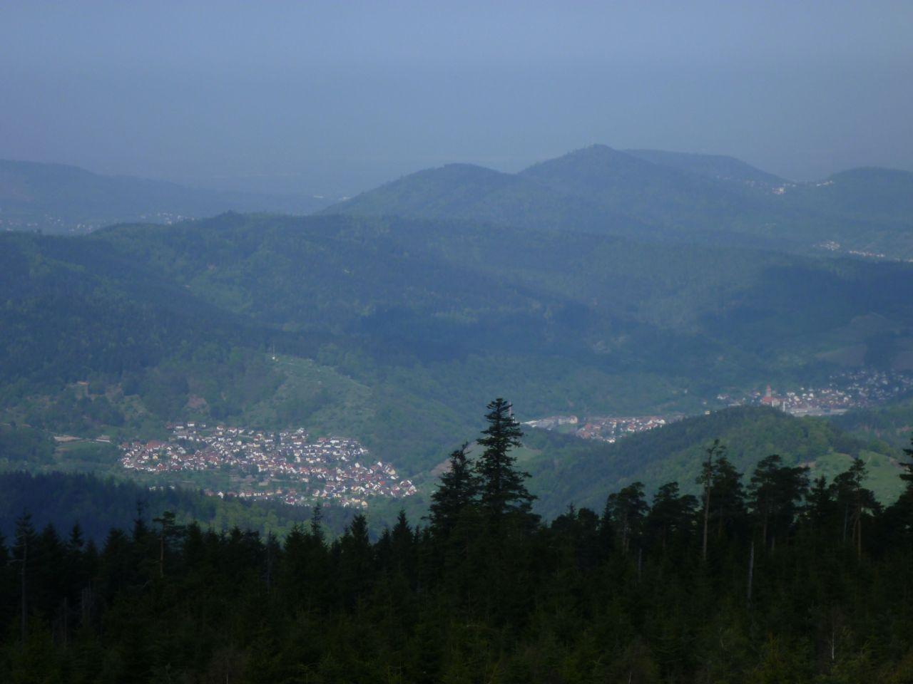 Bild vergr&ouml;ssern