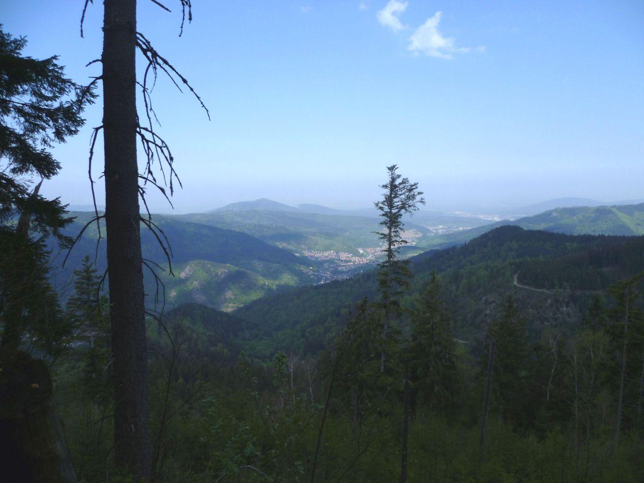 Bild vergr&ouml;ssern