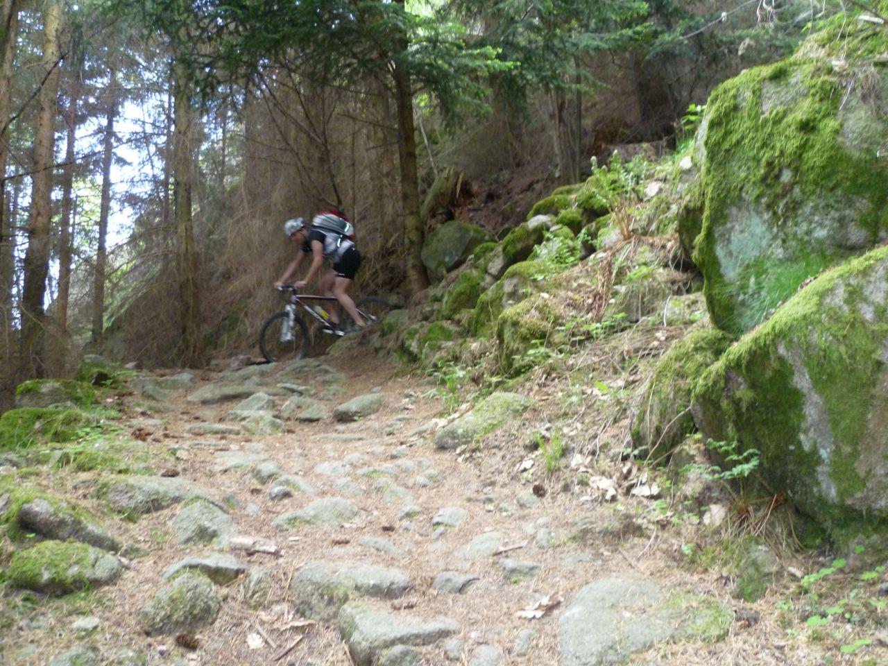 Bild vergr&ouml;ssern