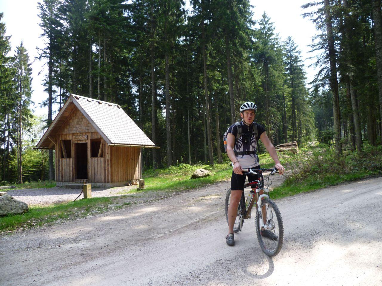 Bild vergr&ouml;ssern