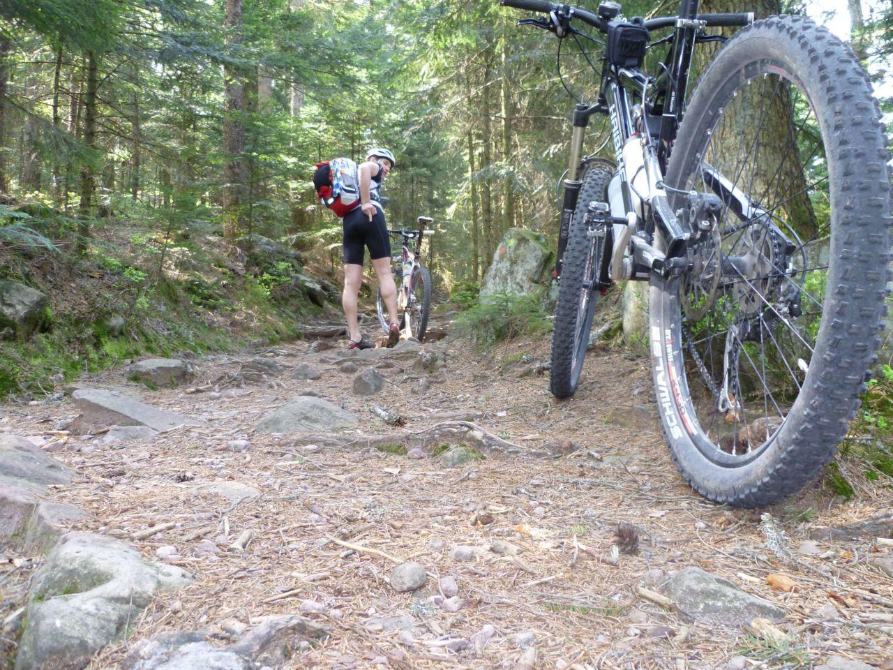 Bild vergr&ouml;ssern