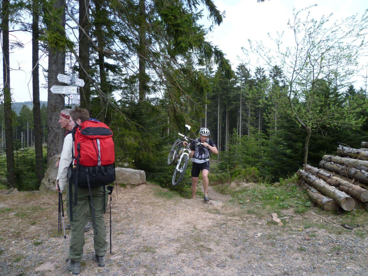 Bild vergr&ouml;ssern