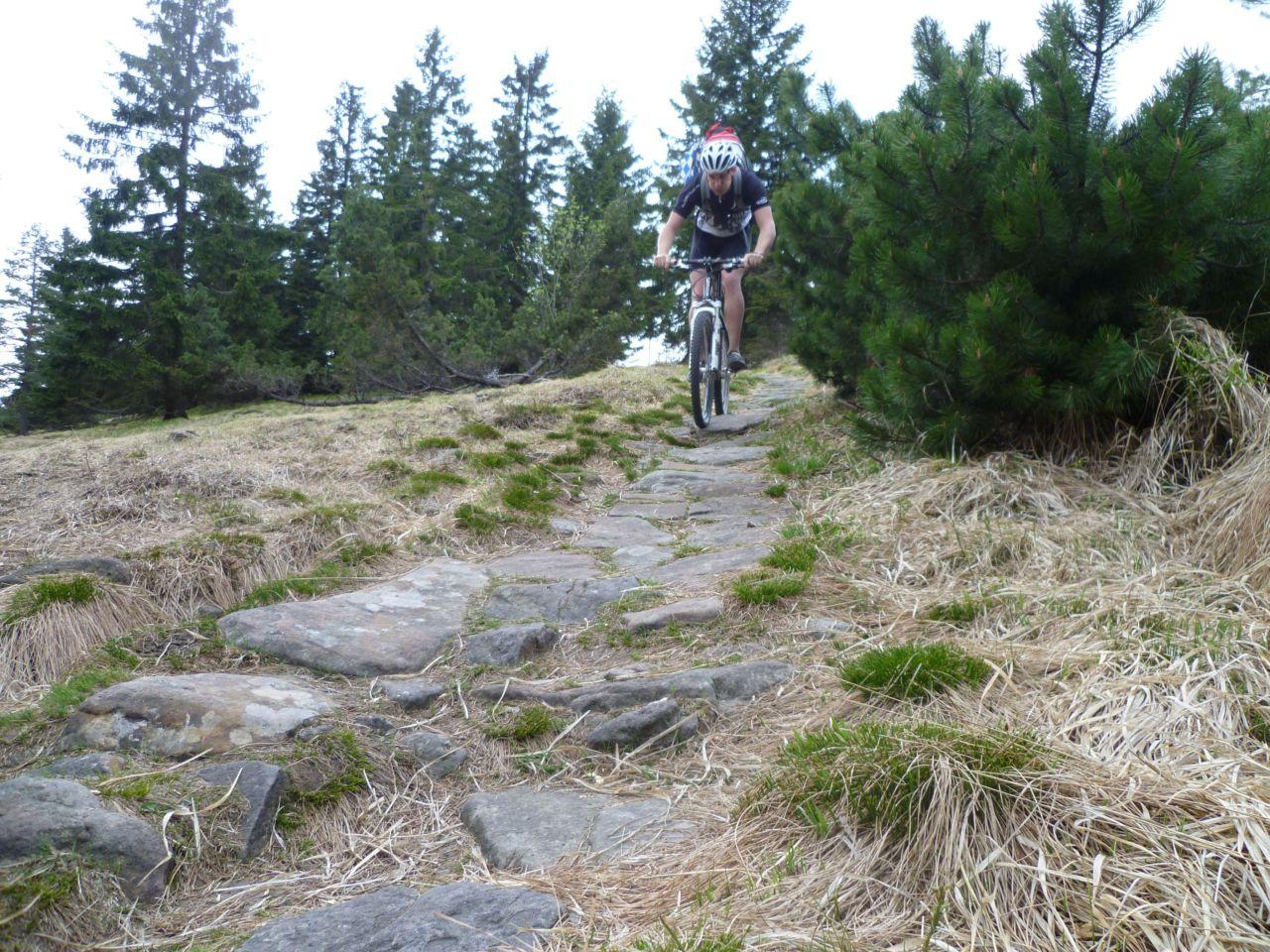 Bild vergr&ouml;ssern