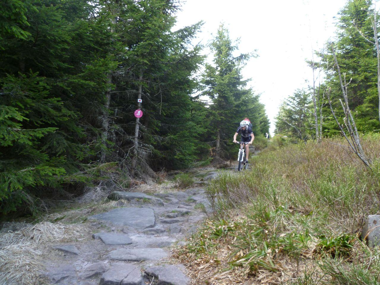 Bild vergr&ouml;ssern