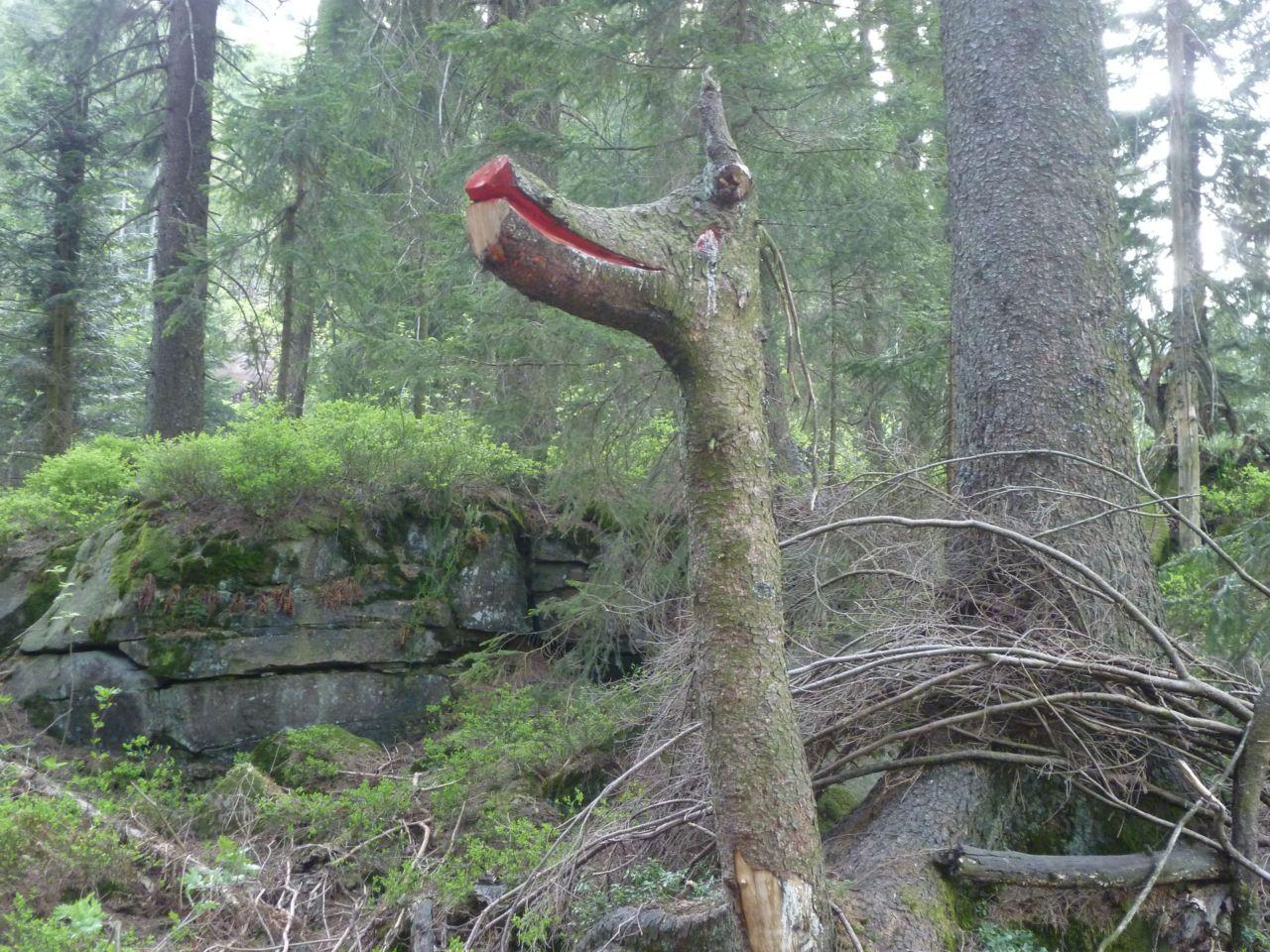 Bild vergr&ouml;ssern