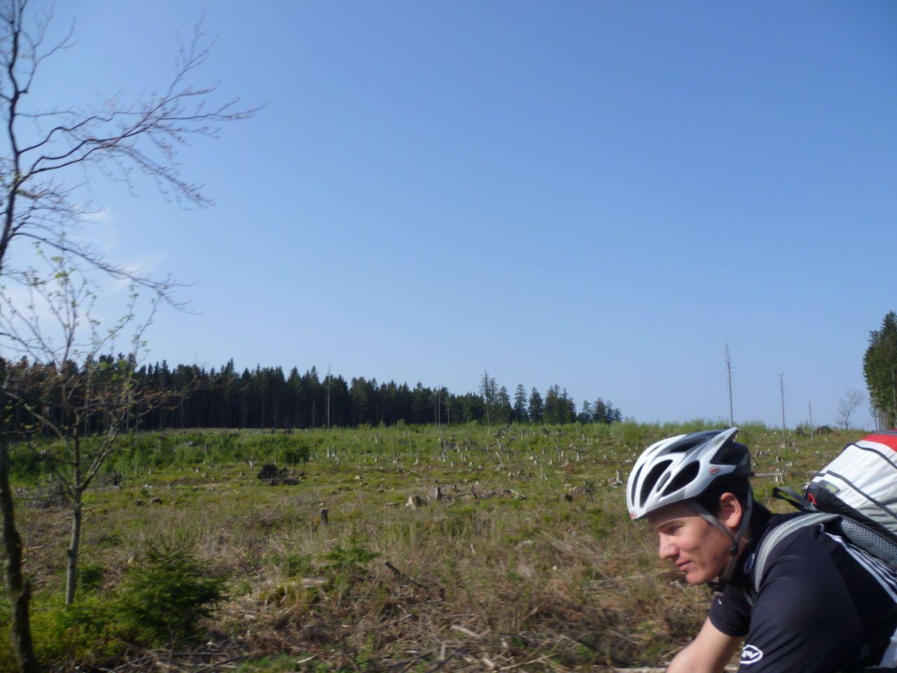 Bild vergr&ouml;ssern