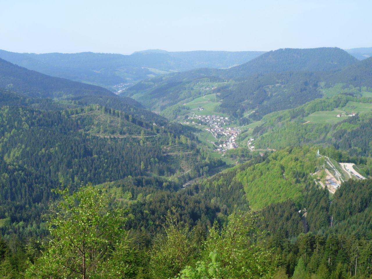 Bild vergr&ouml;ssern