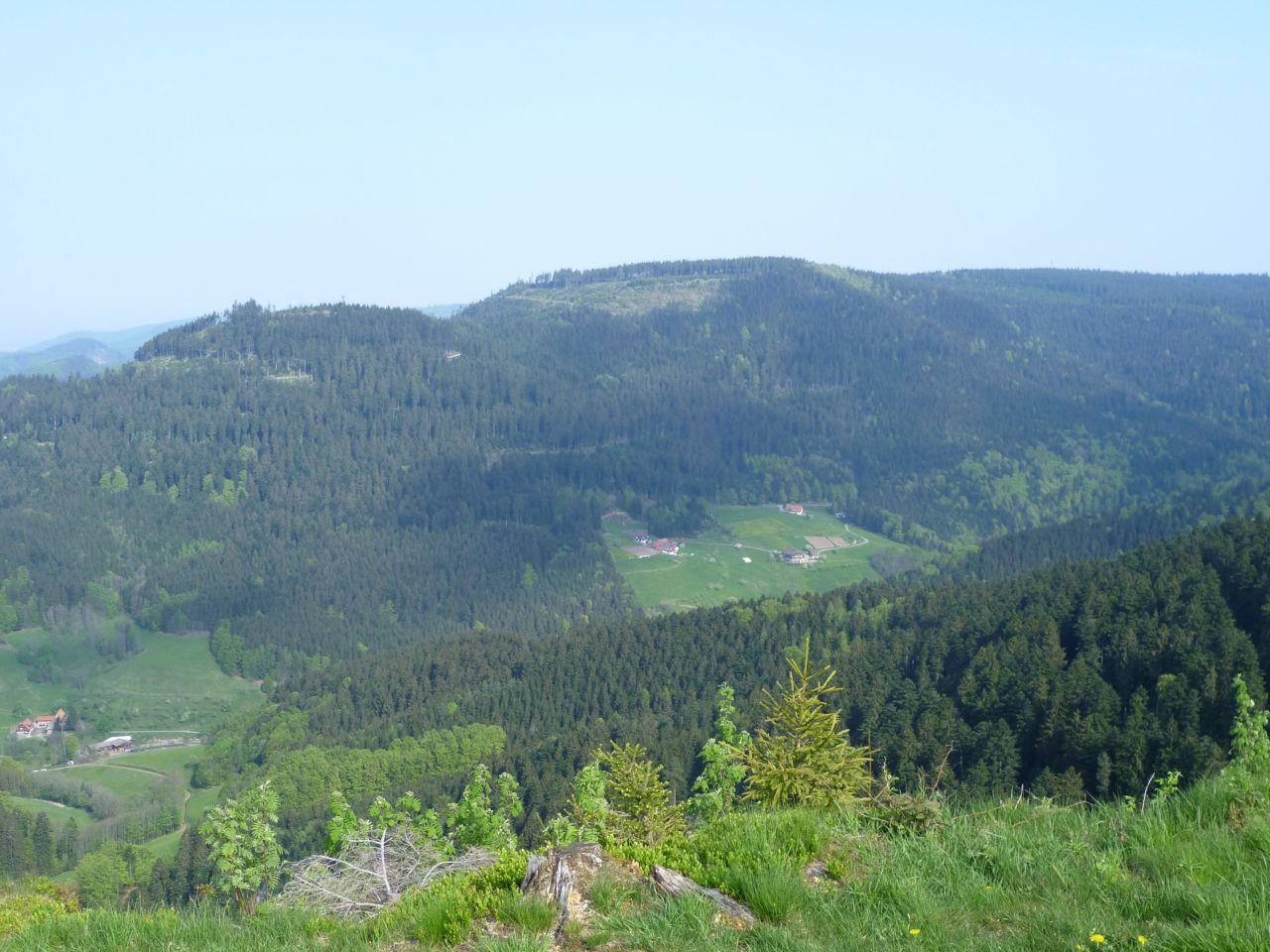 Bild vergr&ouml;ssern