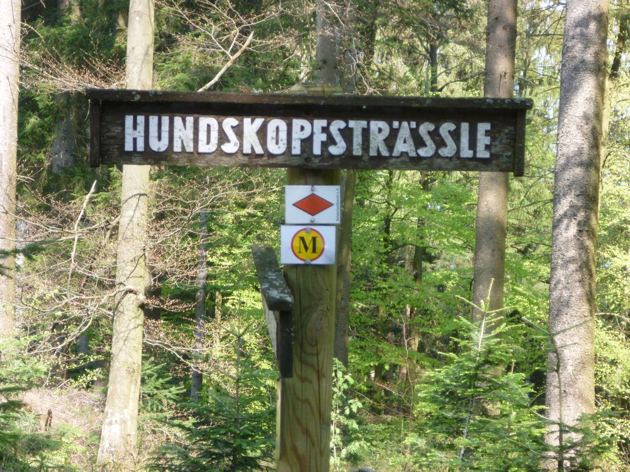 Bild vergr&ouml;ssern