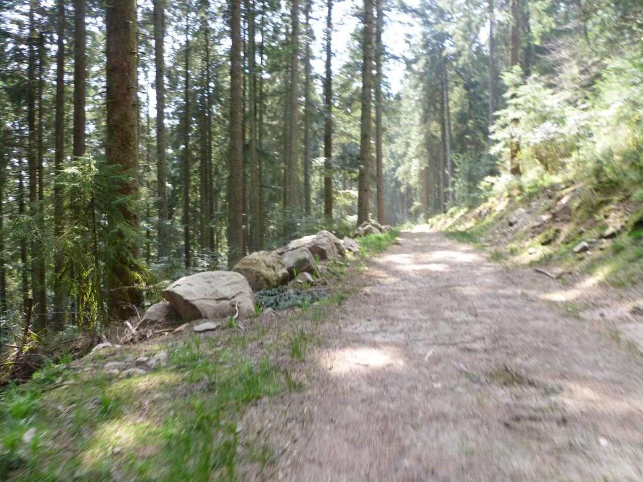 Bild vergr&ouml;ssern