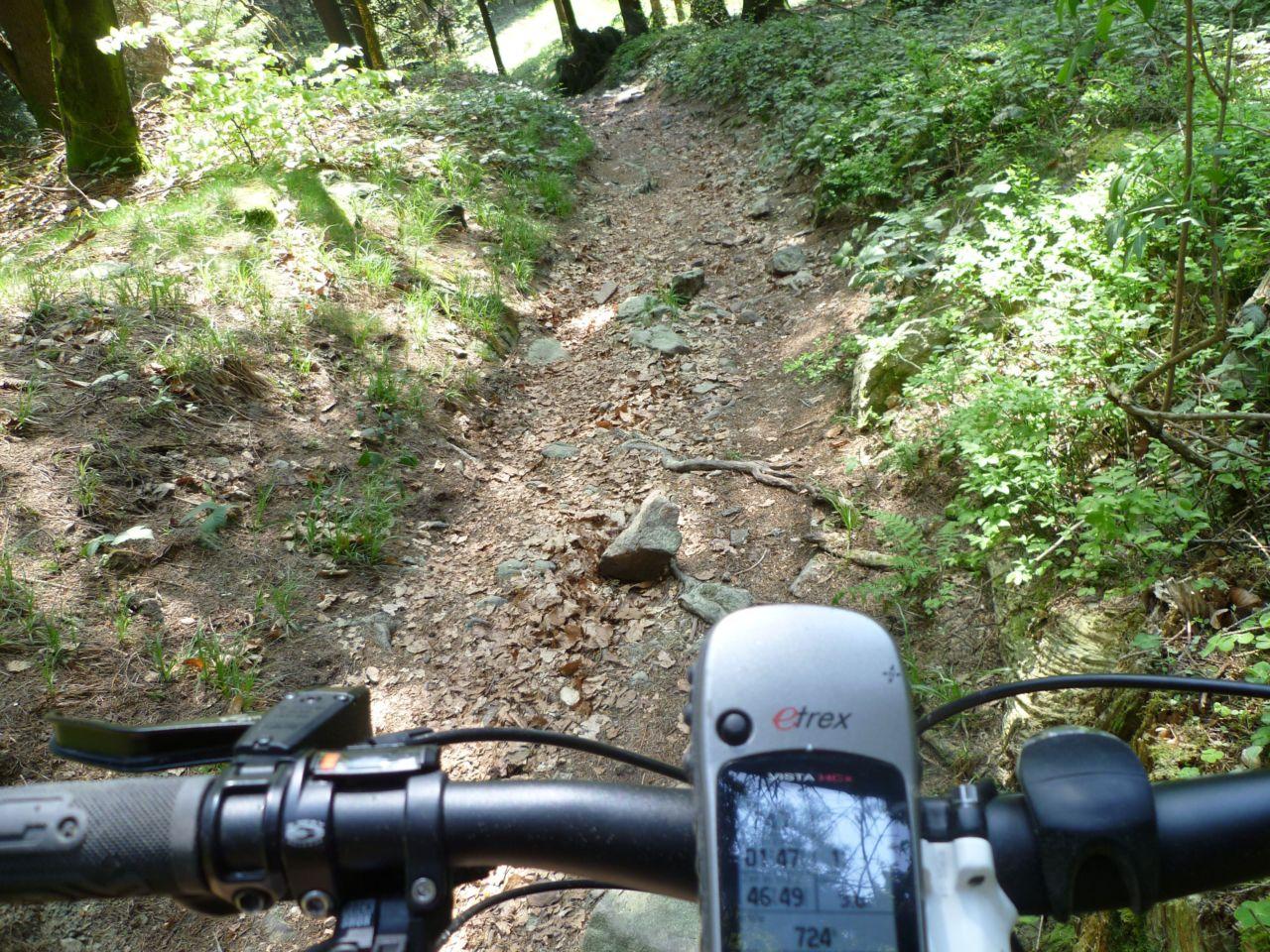 Bild vergr&ouml;ssern