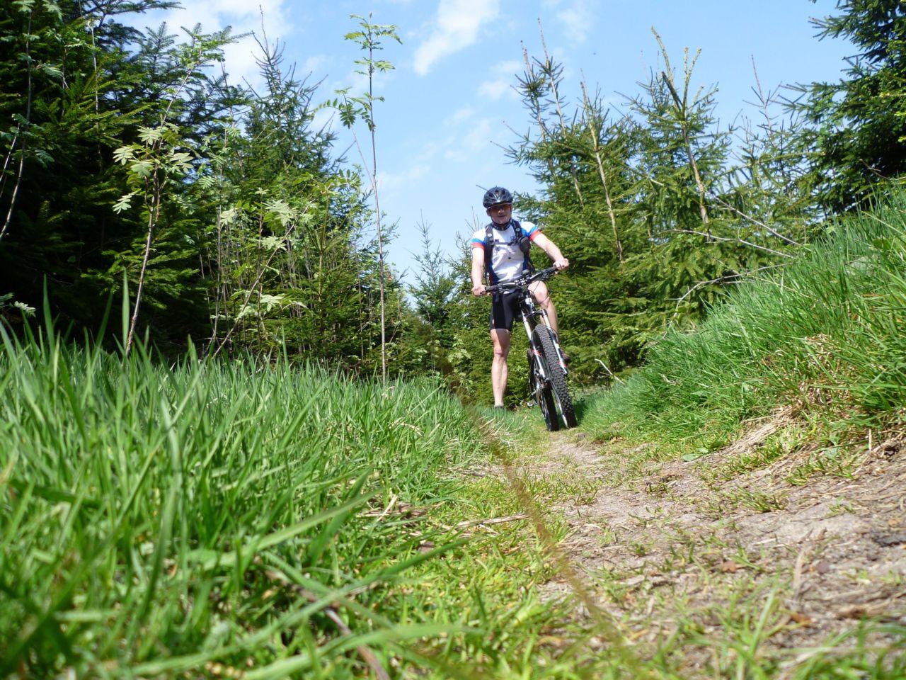 Bild vergr&ouml;ssern