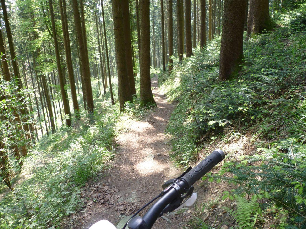 Bild vergr&ouml;ssern