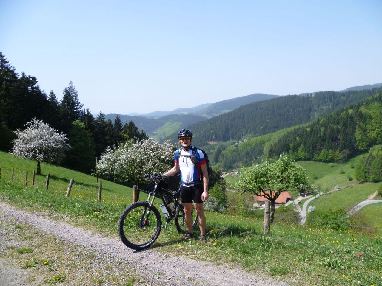 Bild vergr&ouml;ssern