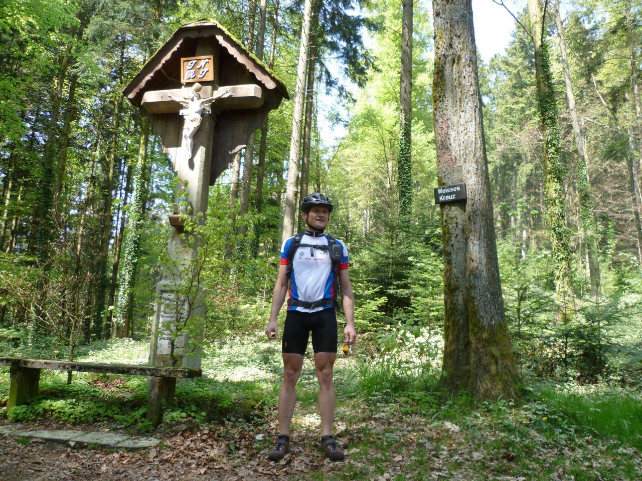 Bild vergr&ouml;ssern