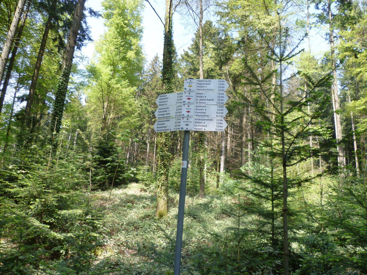 Bild vergr&ouml;ssern