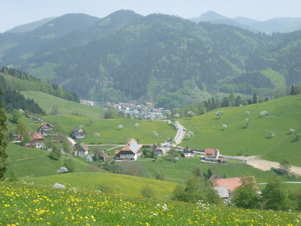 Bild vergr&ouml;ssern