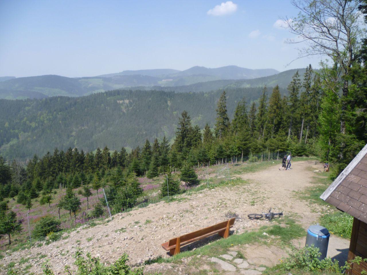 Bild vergr&ouml;ssern