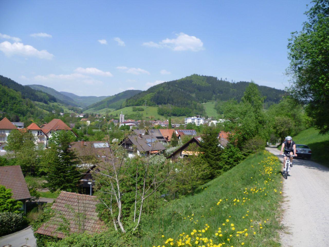 Bild vergr&ouml;ssern