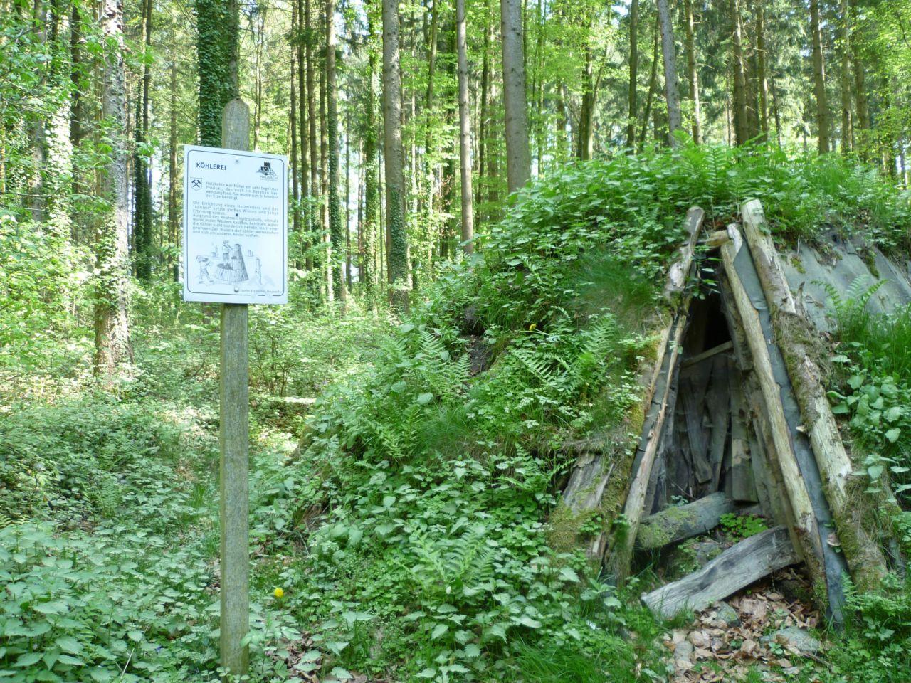 Bild vergr&ouml;ssern