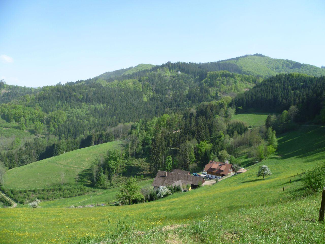 Bild vergr&ouml;ssern