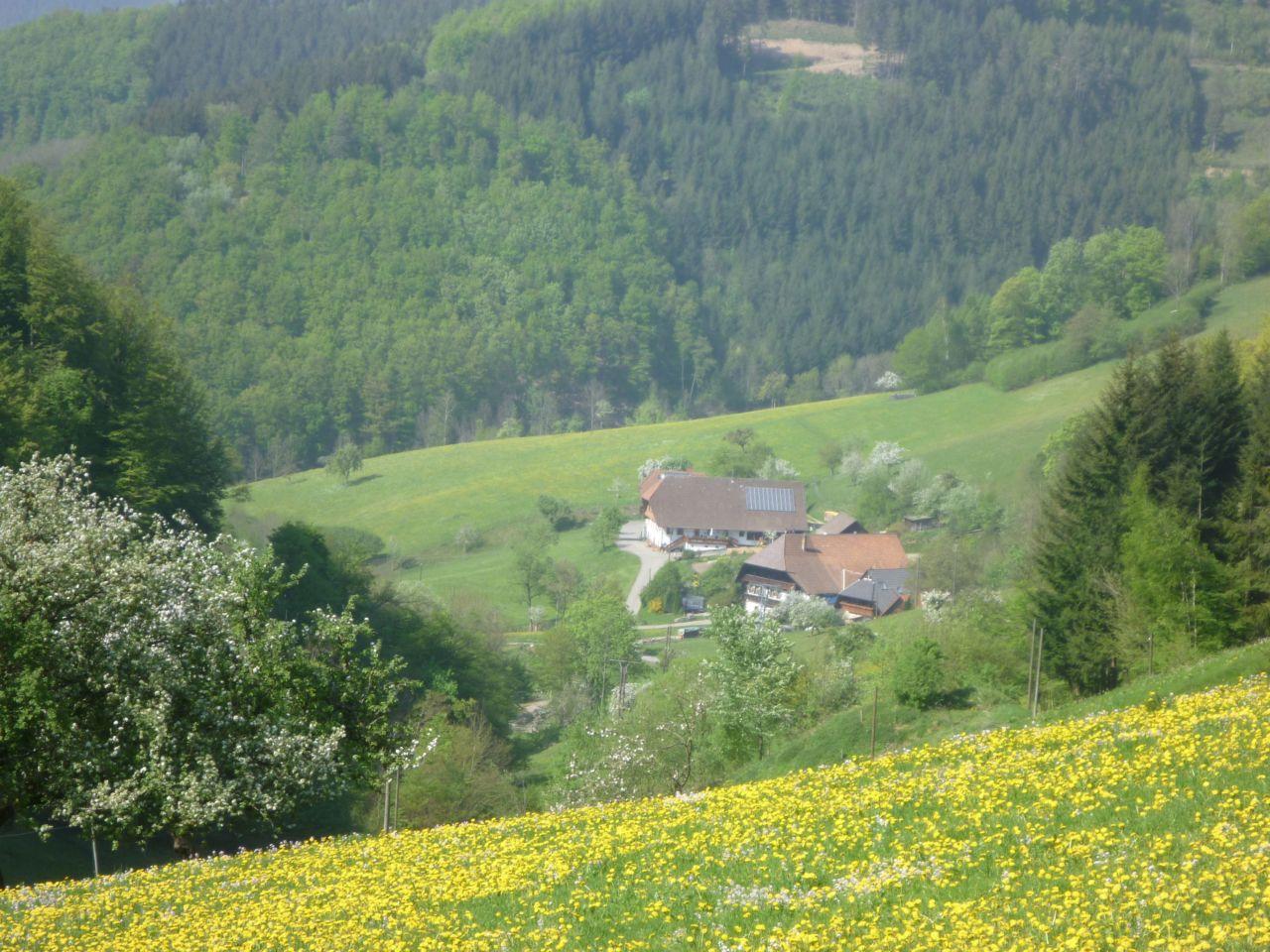 Bild vergr&ouml;ssern