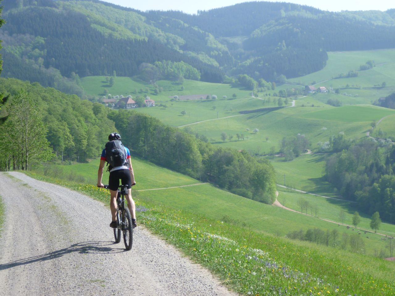 Bild vergr&ouml;ssern