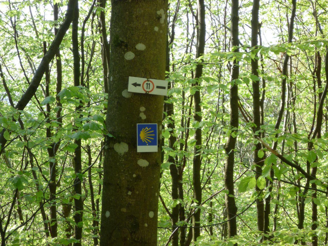 Bild vergr&ouml;ssern