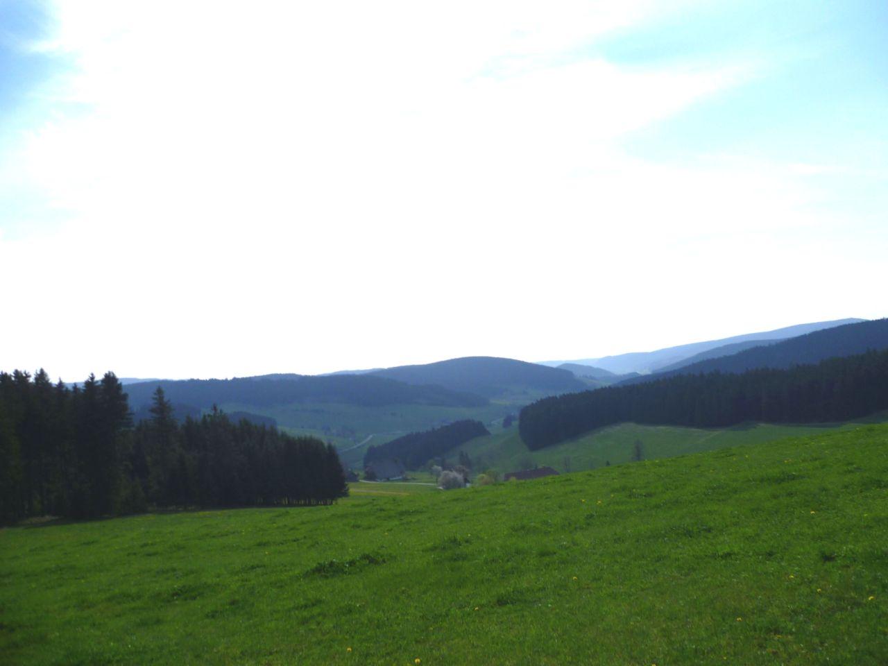 Bild vergr&ouml;ssern