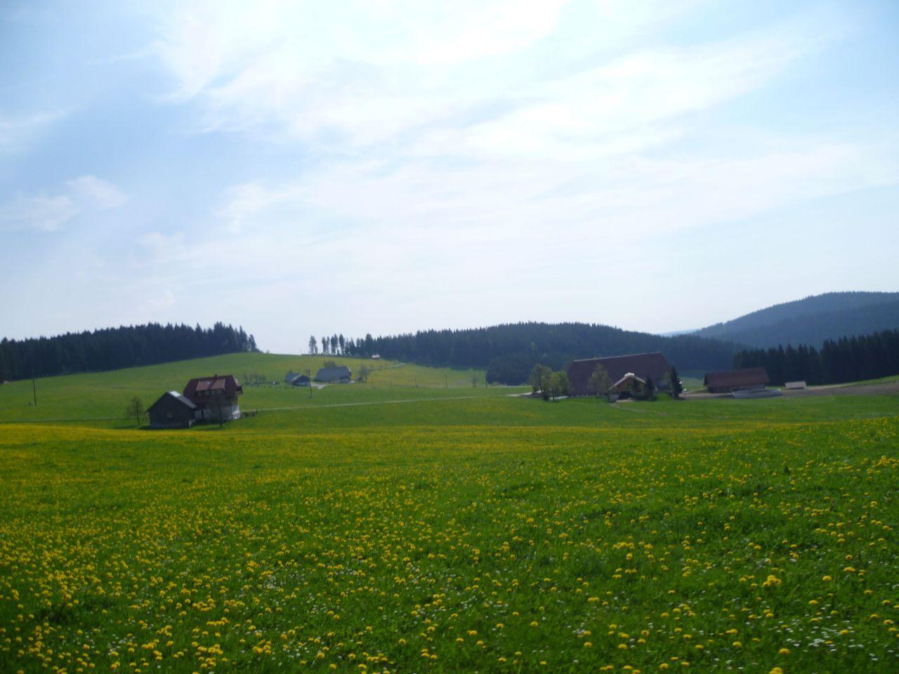 Bild vergr&ouml;ssern