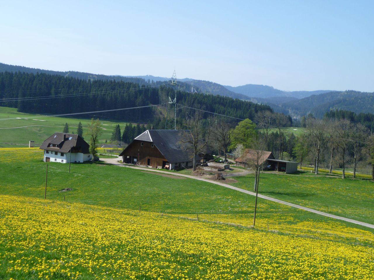 Bild vergr&ouml;ssern