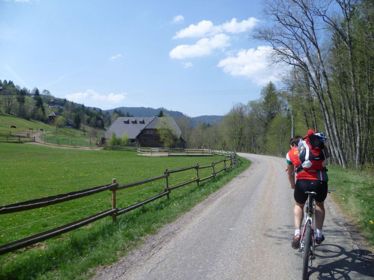 Bild vergr&ouml;ssern