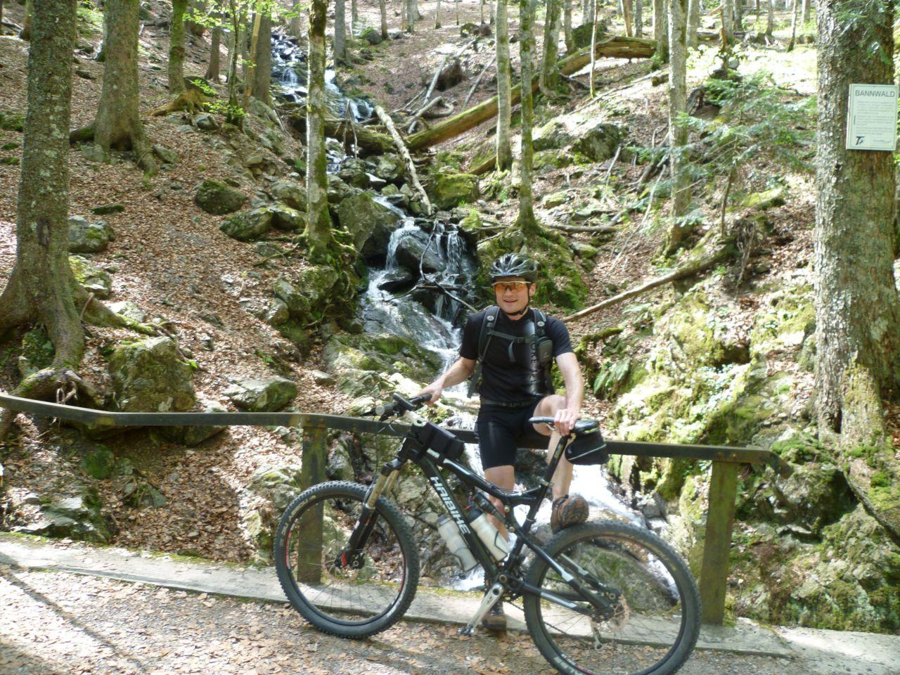 Bild vergr&ouml;ssern