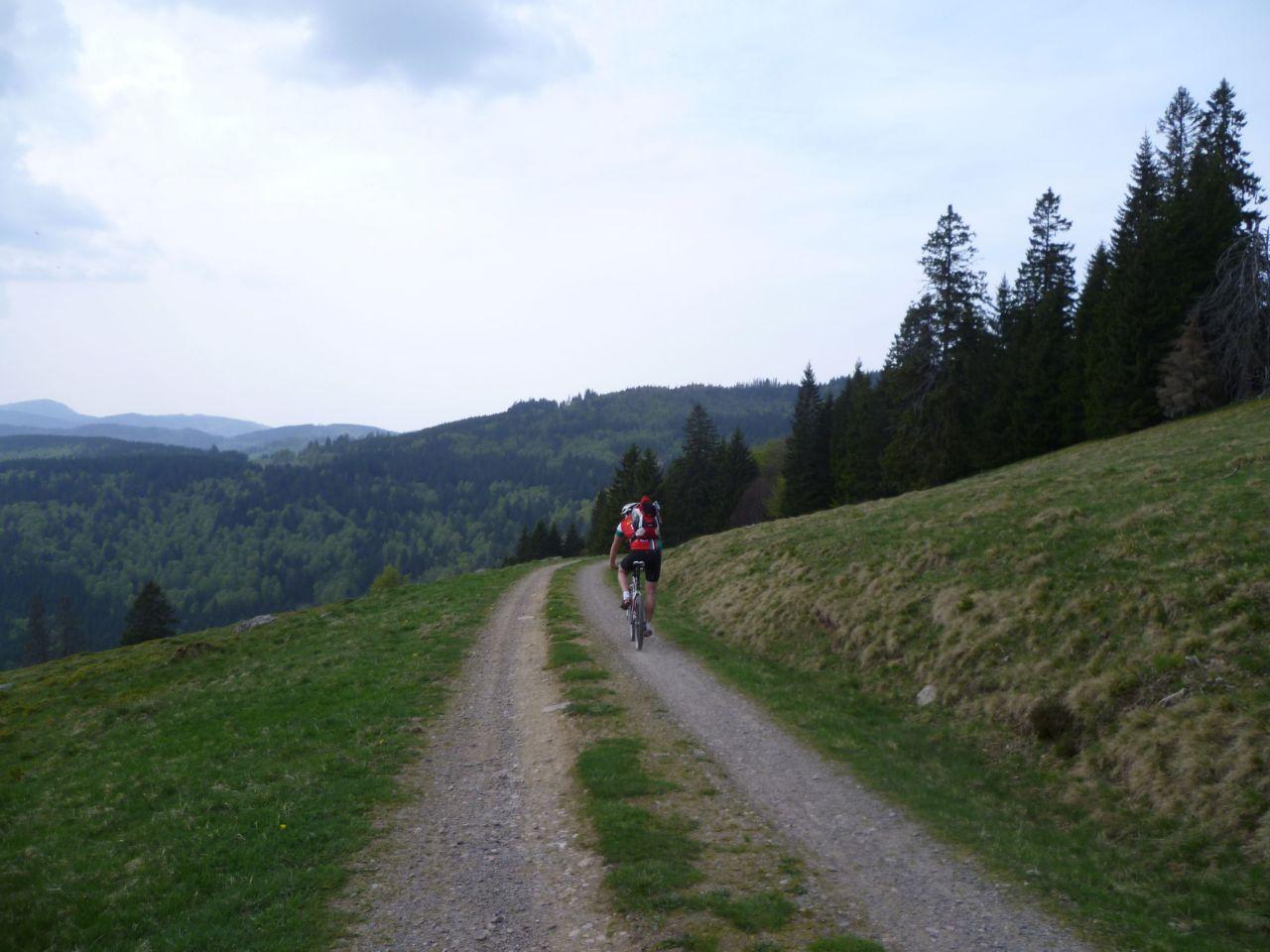 Bild vergr&ouml;ssern