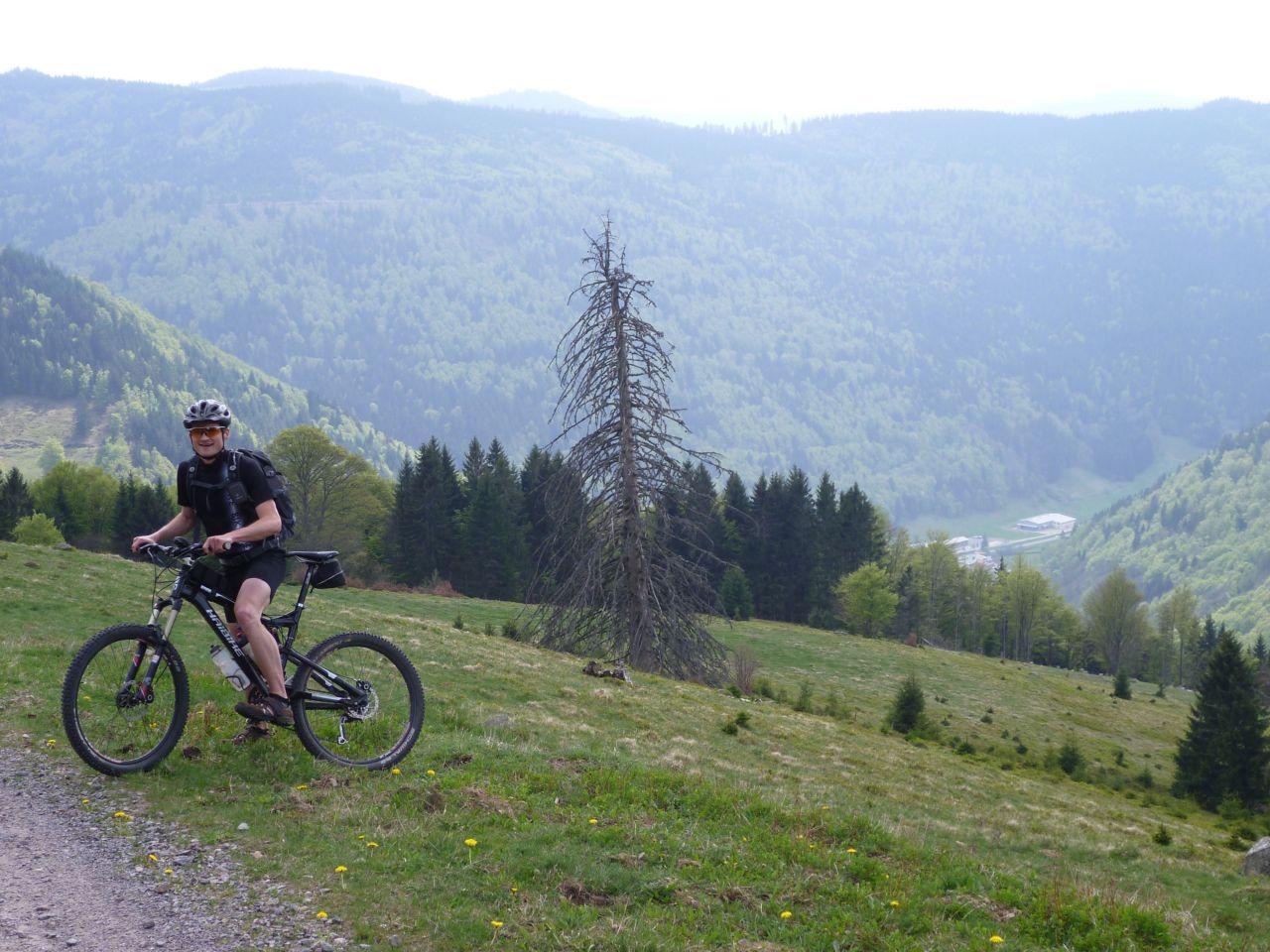 Bild vergr&ouml;ssern