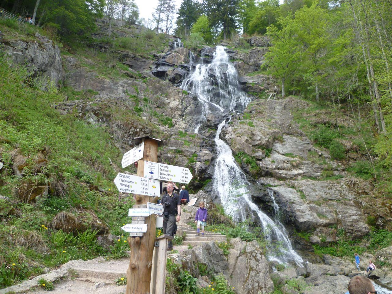 Bild vergr&ouml;ssern