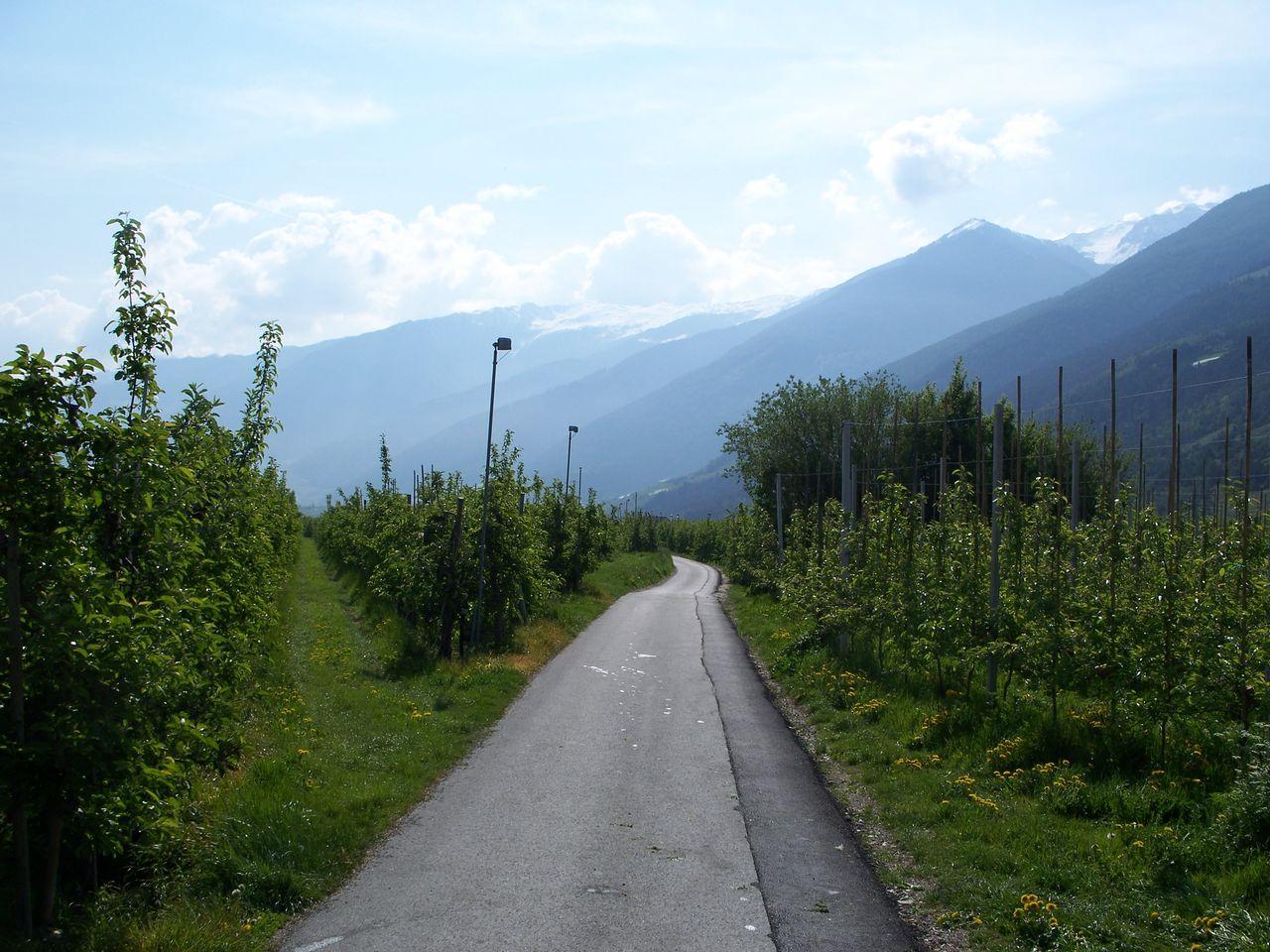 Bild vergr&ouml;ssern