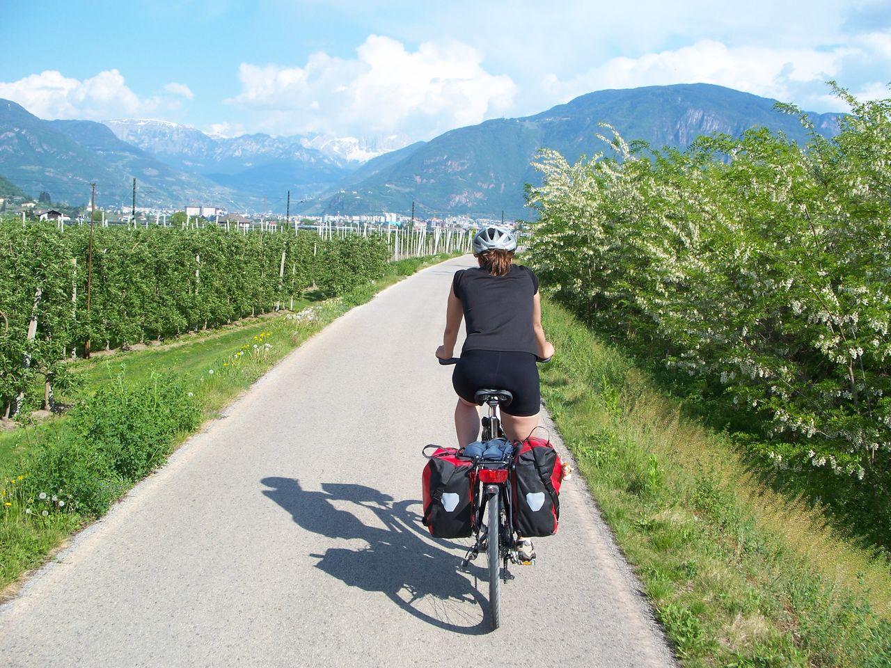 Bild vergr&ouml;ssern