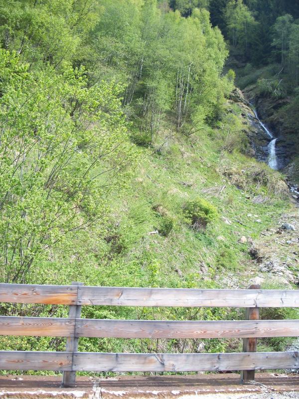 Bild vergr&ouml;ssern