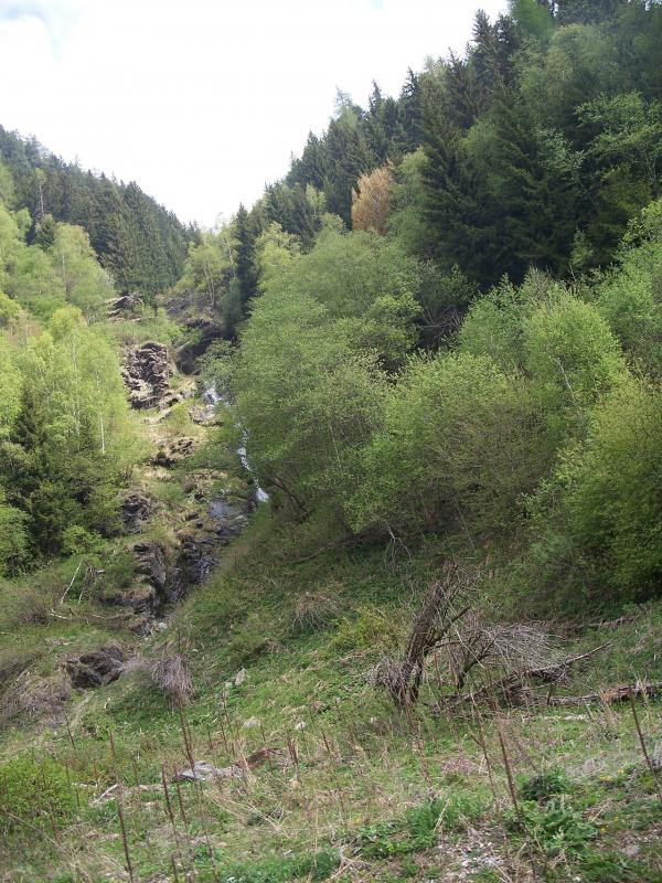 Bild vergr&ouml;ssern