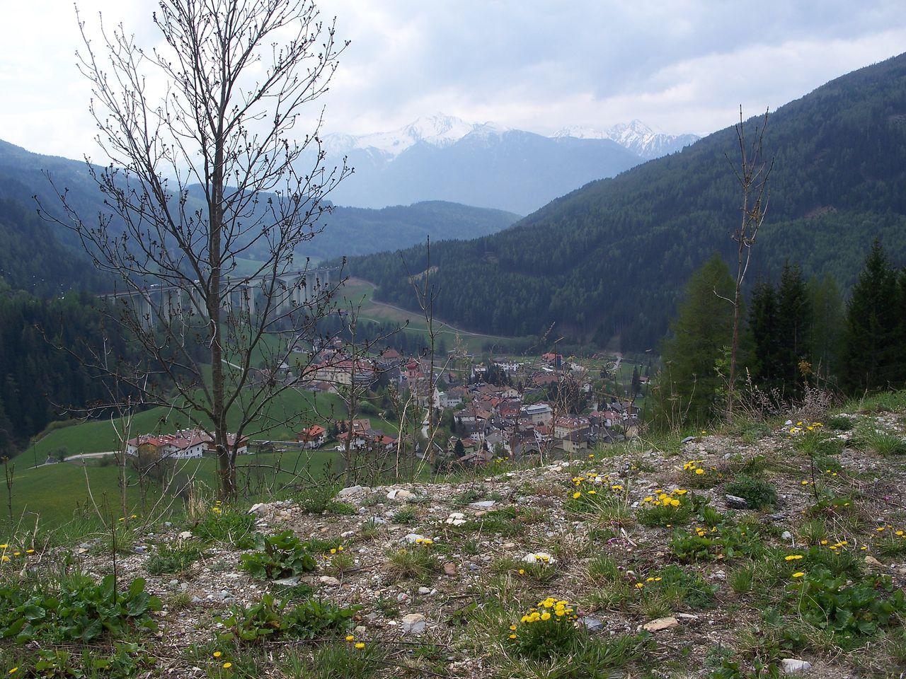 Bild vergr&ouml;ssern