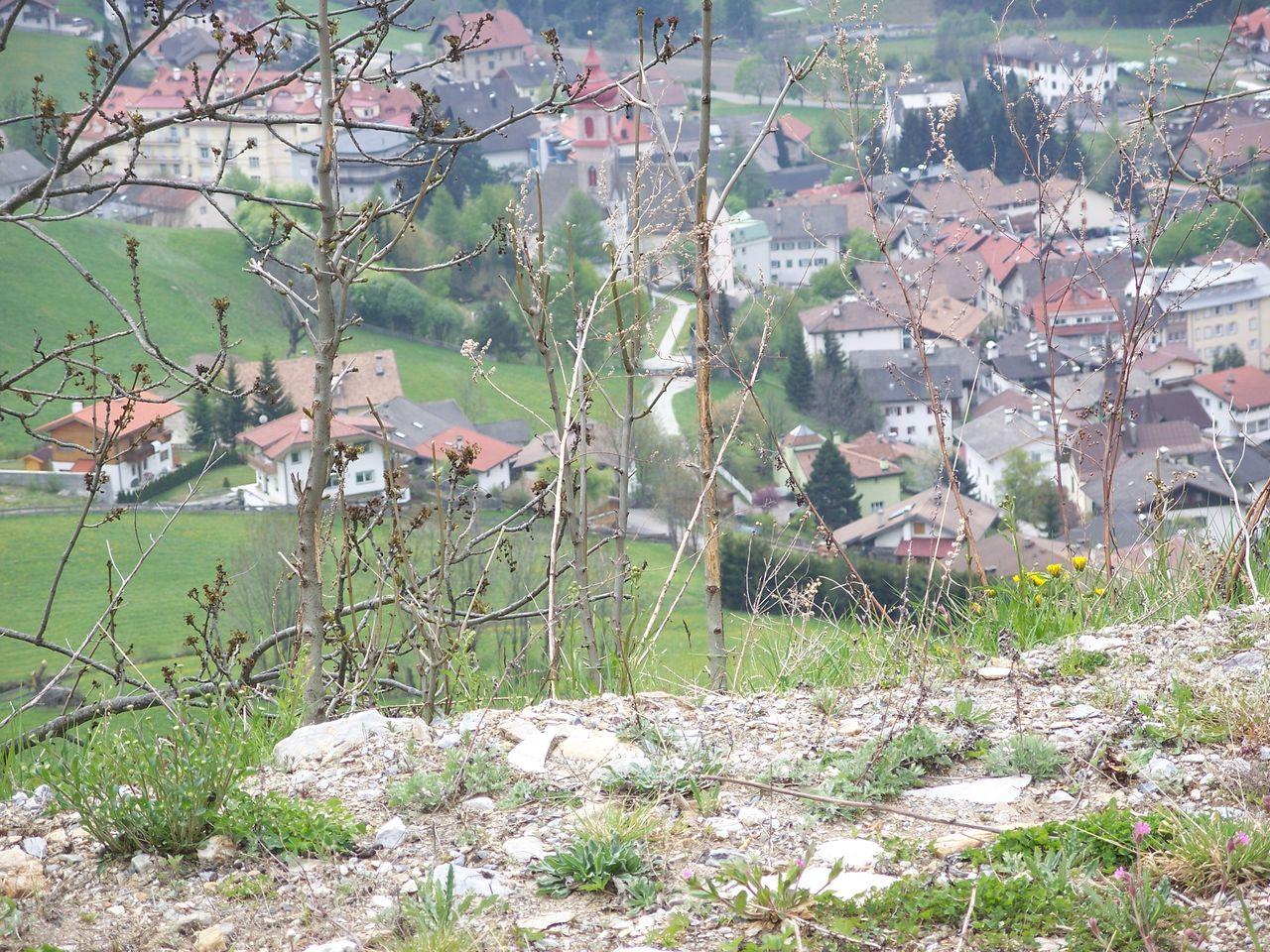 Bild vergr&ouml;ssern