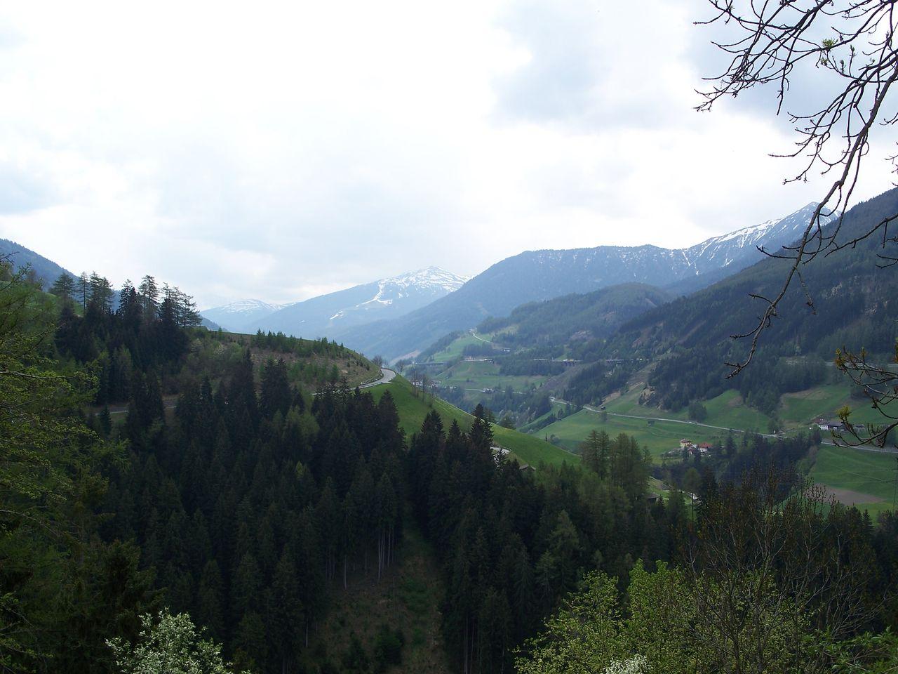 Bild vergr&ouml;ssern