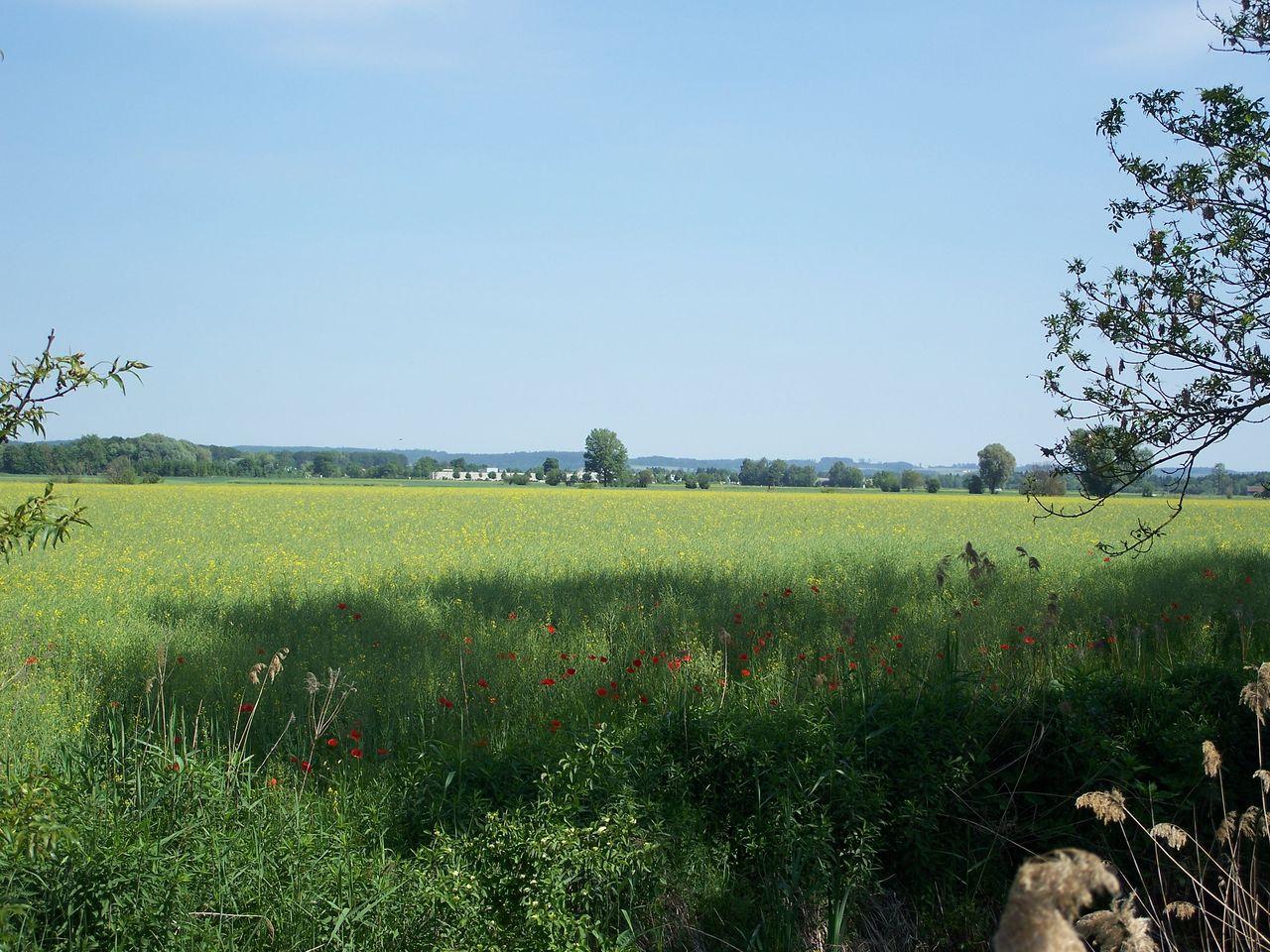 Bild vergr&ouml;ssern