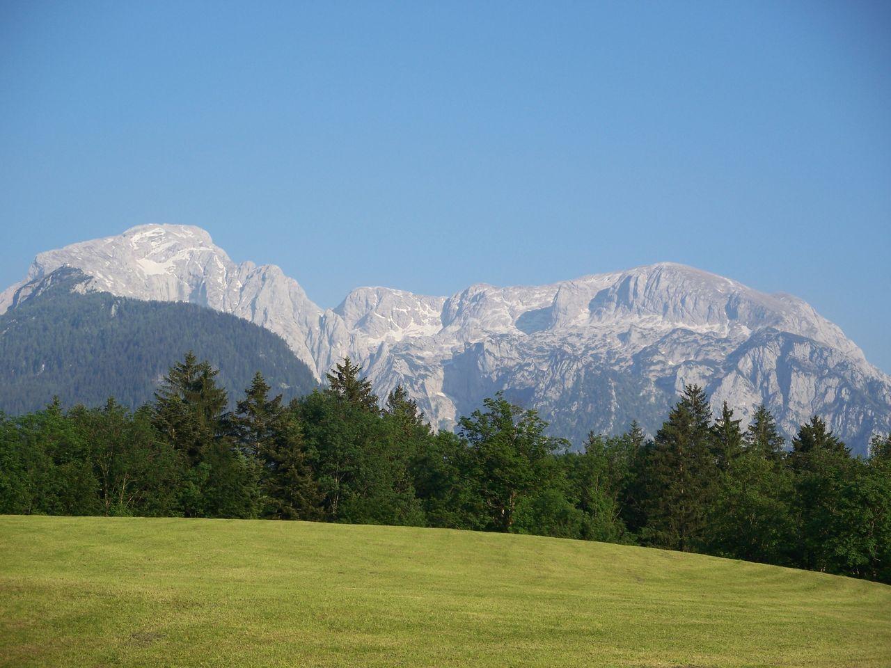 Bild vergr&ouml;ssern