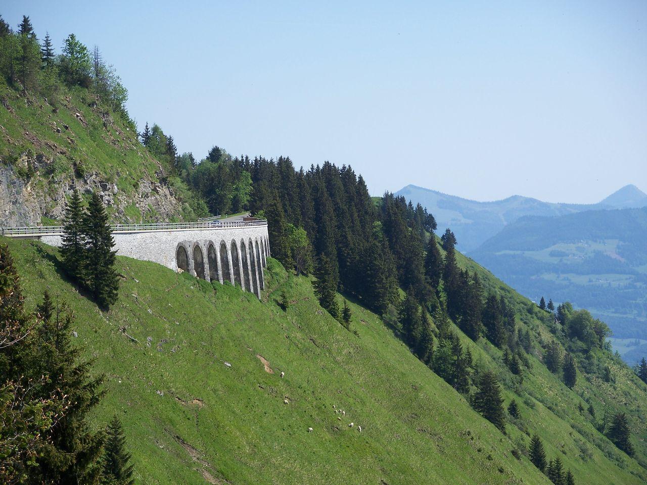 Bild vergr&ouml;ssern