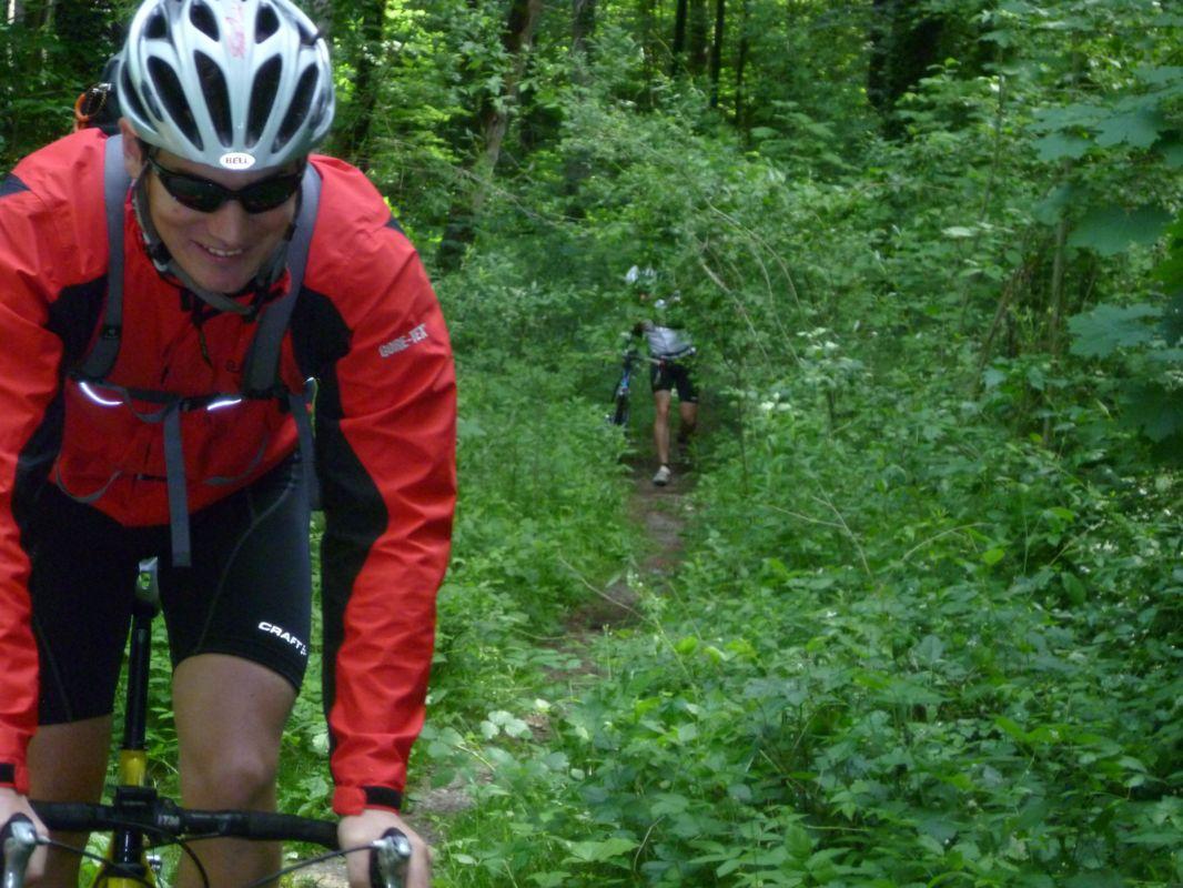 Bild vergr&ouml;ssern