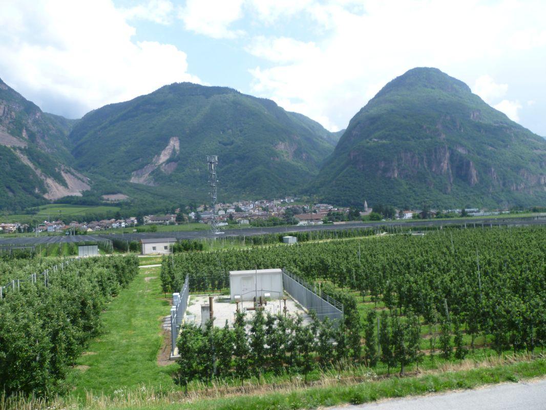 Bild vergr&ouml;ssern