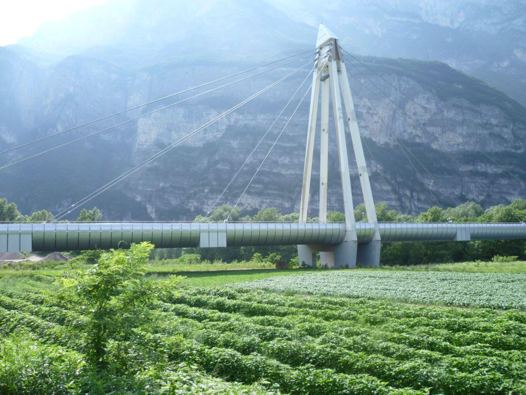 Bild vergr&ouml;ssern