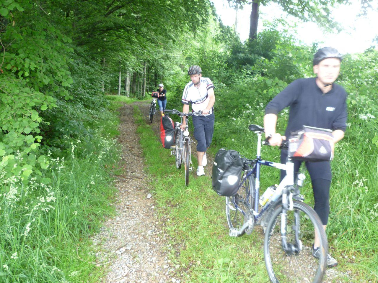 Bild vergr&ouml;ssern